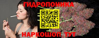 spice Бузулук