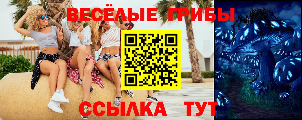 Псилоцибиновые грибы Psilocybe Семилуки