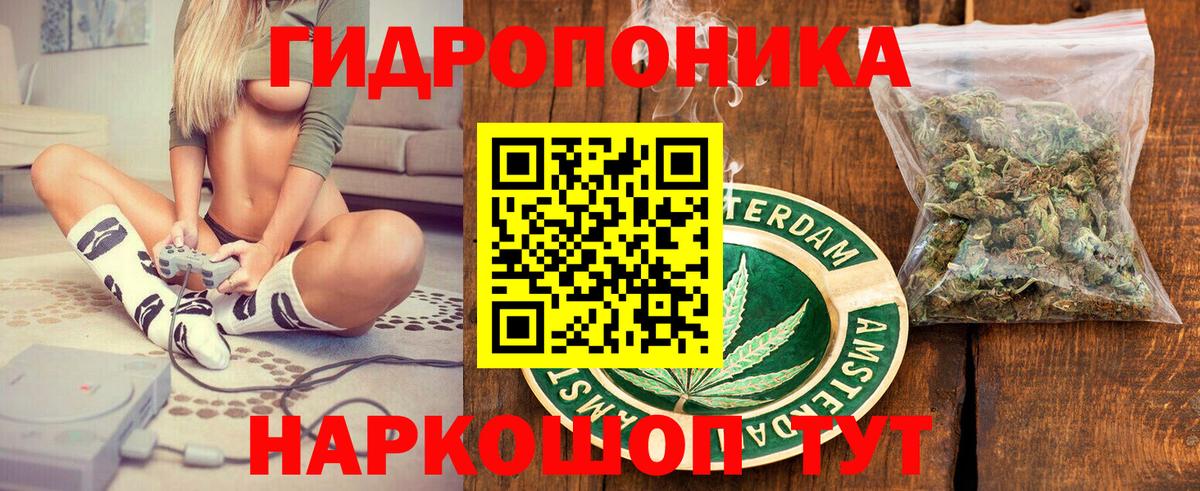 Шишки марихуана семена  Шишки марихуана гибрид  Семилуки  Канабис THC 21%  Вход с VPN 